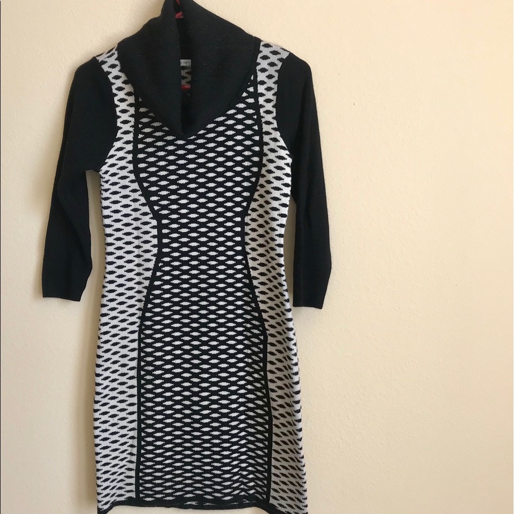 ❄️ Turtle neck dress 👗/sweater dress ⛄️